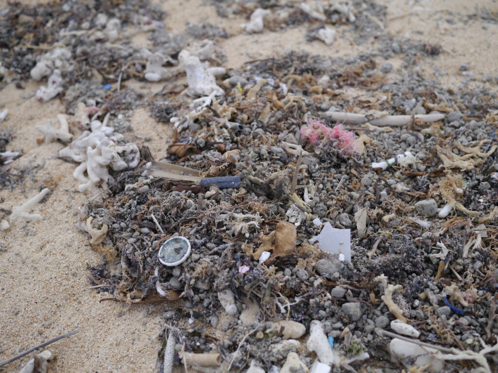 ocean pollution